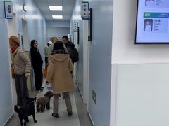 -中国农业大学动物医院