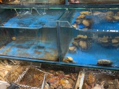 -潮庭·大连海鲜·炭火烧烤·扇贝王(大连店)