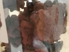 -红跑车(三牌楼店)