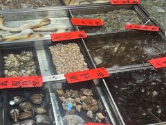 -湛江渔港·大排档(乐园路总店)