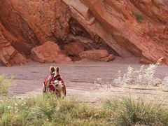 -天山神秘大峡谷