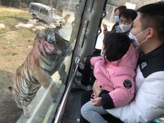 -西安秦岭野生动物园