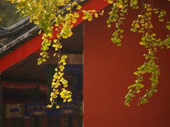 -金堂县云顶石城风景区