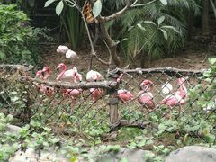 -亚马逊丛林水乐园