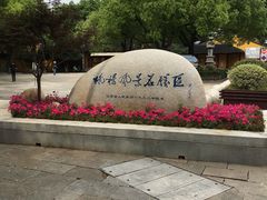 -枫桥夜泊