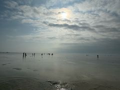 -北海金海湾红树林生态旅游区