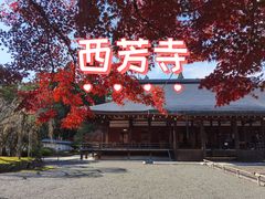 -西芳寺(苔寺)