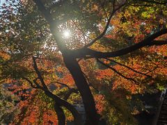 -虞山城墙