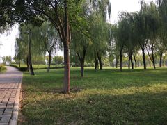 -洨河生态公园