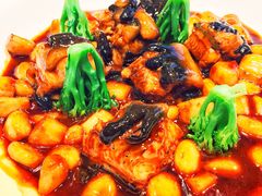 -子福慧(虹桥店)