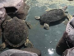 -南昌海洋公园