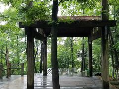 景点-云碧峰国家森林公园