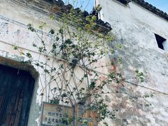 -东梓关景区村庄