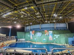 -太平洋海底世界