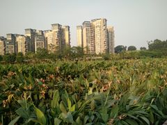 -聚福(国创旗舰店)