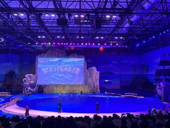 -华夏文旅海洋公园