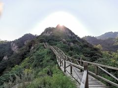 -大岭沟猕猴桃谷风景区