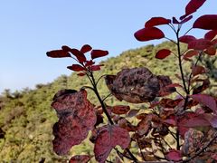 -九如山休闲旅游度假区
