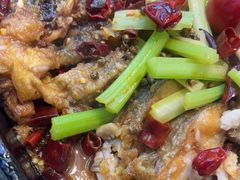 -老板恋上鱼(印象城店)