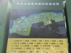-黑龙江省森林植物园