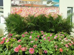 -洛阳龙门站