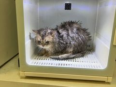 -沐沐家宠物(成寿寺店)