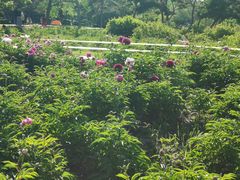 -长春公园(普阳街道)