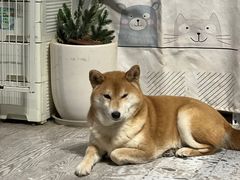 -小时光咖啡馆(北锣鼓巷店)