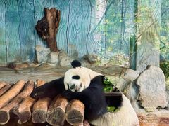 -海南热带野生动植物园