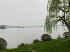 -家烧面馆【南山路知名经典面食】