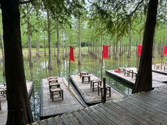 -泗洪洪泽湖湿地景区