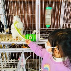 -小蜜蜂农场(凯德七宝购物广场店)