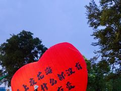 -荷兰花海