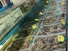 -江杨农产品批发市场