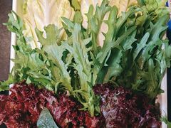 -南门四季铜锅涮肉(大屯·北苑店)