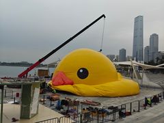 -深圳湾公园(南山区)