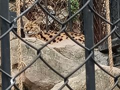 -大连森林动物园