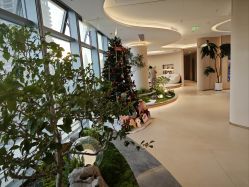 -深圳芙必优医疗美容·抗衰中心