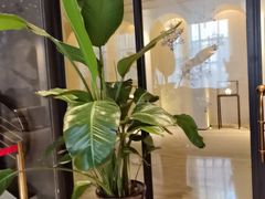 -恒悦轩·粤菜(上海展览中心店)