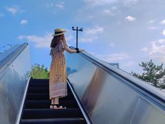 -千岛湖天屿景区