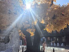 -中华巴洛克风情街