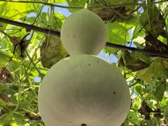 -姥家大锅台水库渔家