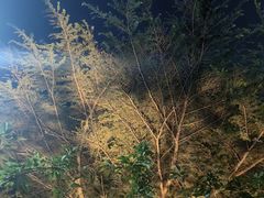 -河南省黄河迎宾馆