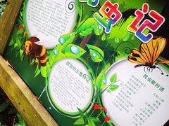 -青青世界