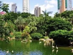 -九龙公园
