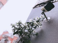 -转山咖啡(松柏社区店)
