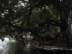 -荔湾湖公园
