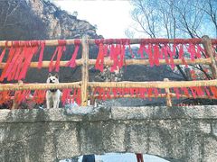 -黑龙潭风景区