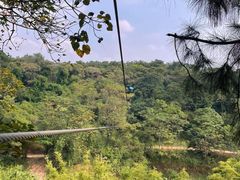 -芦仙山景区-飞越丛林探险乐园