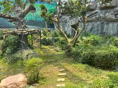 -石排湾郊野公园
